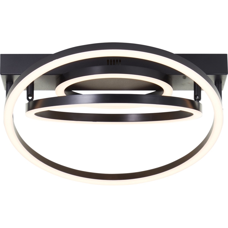 Brilliant - LED prigušiva stropna svjetiljka PEDLEY LED/36W/230V crna