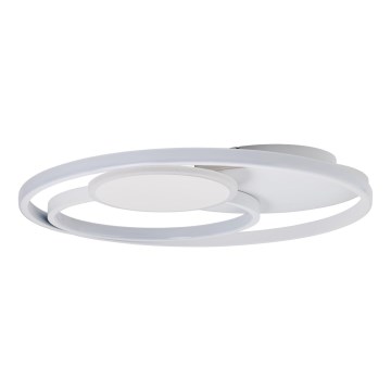 Brilliant - LED Prigušiva stropna svjetiljka RUNDA LED/50W/230V 3000-6500K bijela + daljinski upravljač