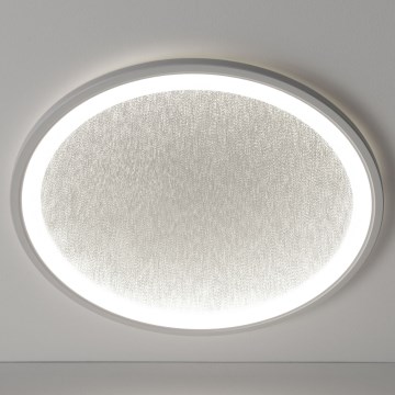 Brilliant - LED Prigušiva stropna svjetiljka TANIDA LED/31W/230V 3000-6500K + daljinski upravljač