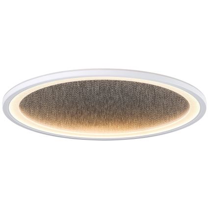 Brilliant - LED Prigušiva stropna svjetiljka TANIDA LED/31W/230V 3000-6500K + daljinski upravljač