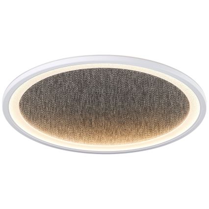 Brilliant - LED Prigušiva stropna svjetiljka TANIDA LED/31W/230V 3000-6500K + daljinski upravljač