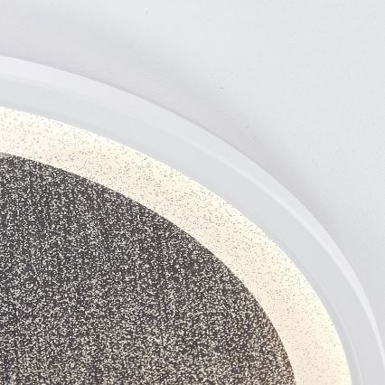 Brilliant - LED Prigušiva stropna svjetiljka TANIDA LED/31W/230V 3000-6500K + daljinski upravljač