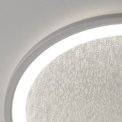 Brilliant - LED Prigušiva stropna svjetiljka TANIDA LED/31W/230V 3000-6500K + daljinski upravljač