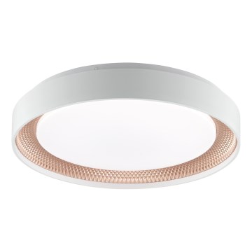 Brilliant - LED prigušiva stropna svjetiljka WALDO LED/24W/230V 3000-6500K promjer 38,5 cm bijela/ružičasto zlato + daljinski upravljač