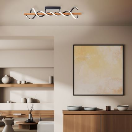 Brilliant - LED Prigušivi nadgradni luster AMALIA LED/38W/230V bor - FSC certificirano