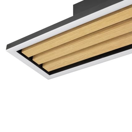 Brilliant - LED prigušivo stropno svjetlo CALMA LED/15W/230V crno