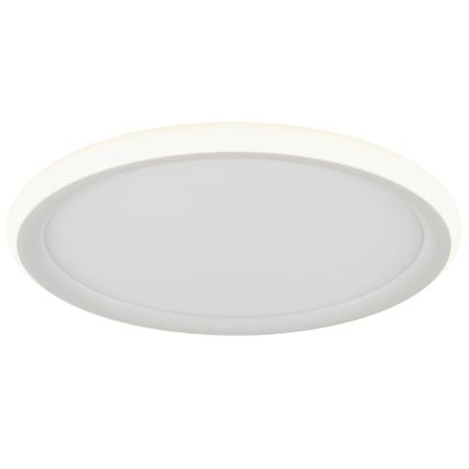 Brilliant - LED prigušivo stropno svjetlo CARLOZ LED/16W/230V Ø 30 cm bijela