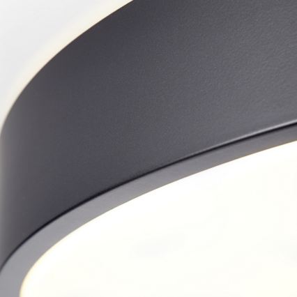 Brilliant - LED stropna svjetiljka SLIMLINE s mogućnošću prigušivanja LED/50W/230V 1800-6500K Ø 49 cm crna + daljinski upravljač