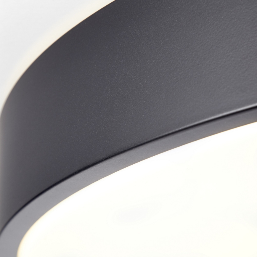 Brilliant - LED stropna svjetiljka SLIMLINE s mogućnošću prigušivanja LED/50W/230V 1800-6500K Ø 49 cm crna + daljinski upravljač