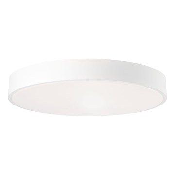 Brilliant - LED Prigušivo stropno svjetlo SLIMLINE LED/60W/230V 3000-6500K Ø 49 cm bijela + daljinski upravljač