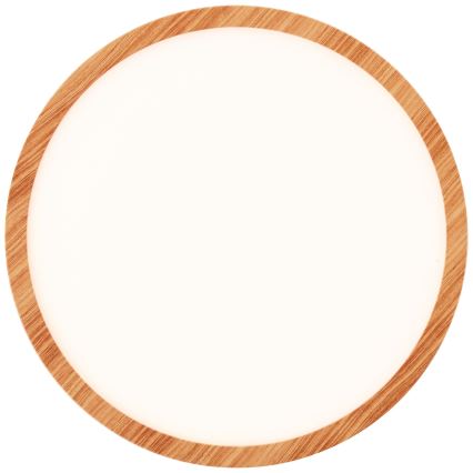 Brilliant - LED prigušiva stropna svjetiljka TUCO LED/20W/230V Ø 29,5 cm bijela/bež