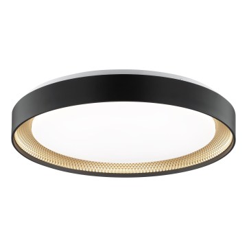 Brilliant - LED prigušivo stropno svjetlo WALDO LED/36W/230V 3000-6500K promjer 48,5 cm crno/zlatno + daljinski upravljač