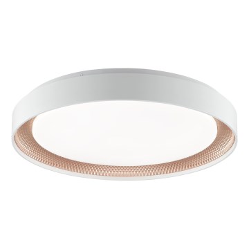 Brilliant - LED prigušivo stropno svjetlo WALDO LED/36W/230V 3000-6500K Ø 48,5 cm bijela/ružičasto zlato + daljinski upravljač