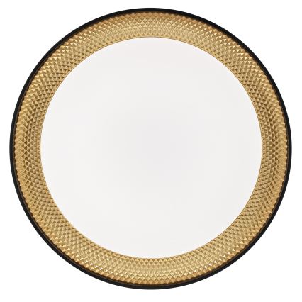 Brilliant - LED prigušivo stropno svjetlo WALDO LED/36W/230V 3000-6500K promjer 48,5 cm crno/zlatno + daljinski upravljač