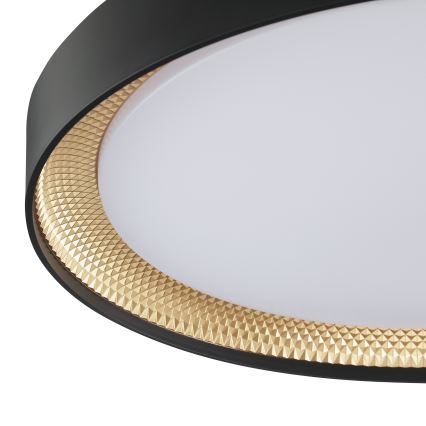Brilliant - LED prigušivo stropno svjetlo WALDO LED/36W/230V 3000-6500K promjer 48,5 cm crno/zlatno + daljinski upravljač