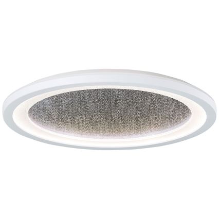 Brilliant - LED RGBW Prigušiva stropna svjetiljka TANIDA LED/22W/230V 3000-6500K+ daljinski upravljač