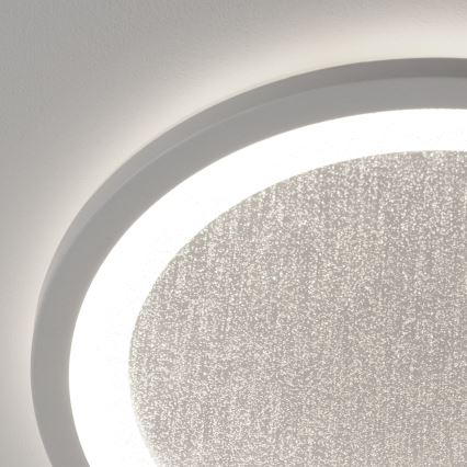 Brilliant - LED RGBW Prigušiva stropna svjetiljka TANIDA LED/22W/230V 3000-6500K+ daljinski upravljač