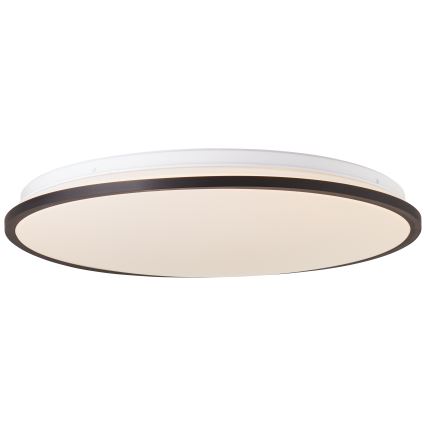 Brilliant - LED RGBW Prigušiva stropna svjetiljka HEIDA LED/30W/230V 3000-6500K + daljinski upravljač