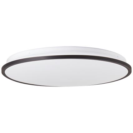 Brilliant - LED RGBW Prigušiva stropna svjetiljka HEIDA LED/30W/230V 3000-6500K + daljinski upravljač