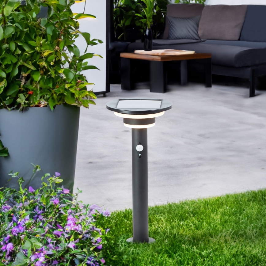 Brilliant - LED Solarna lampa sa senzorom GARVINA LED/3W/3,7V 45 cm IP44 crna