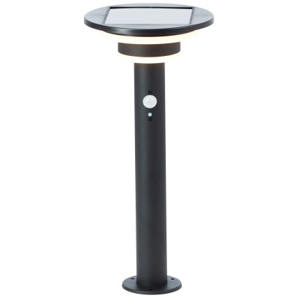 Brilliant - LED Solarna lampa sa senzorom GARVINA LED/3W/3,7V 45 cm IP44 crna