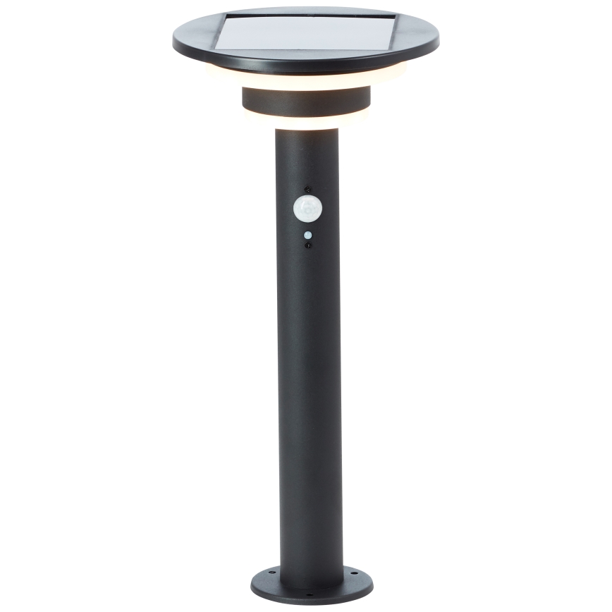 Brilliant - LED Solarna lampa sa senzorom GARVINA LED/3W/3,7V 45 cm IP44 crna