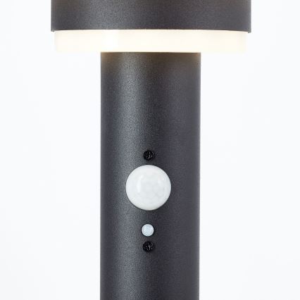 Brilliant - LED Solarna lampa sa senzorom GARVINA LED/3W/3,7V 45 cm IP44 crna