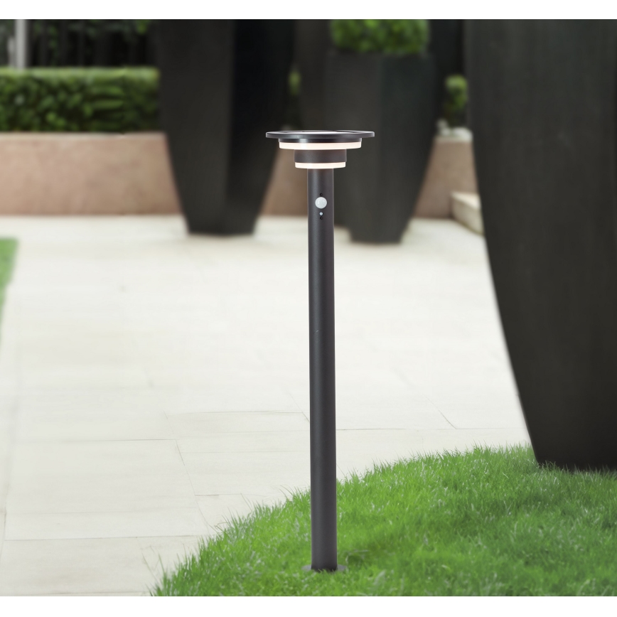 Brilliant - LED Solarna lampa sa senzorom GARVINA LED/3W/3,7V 85 cm IP44 crna
