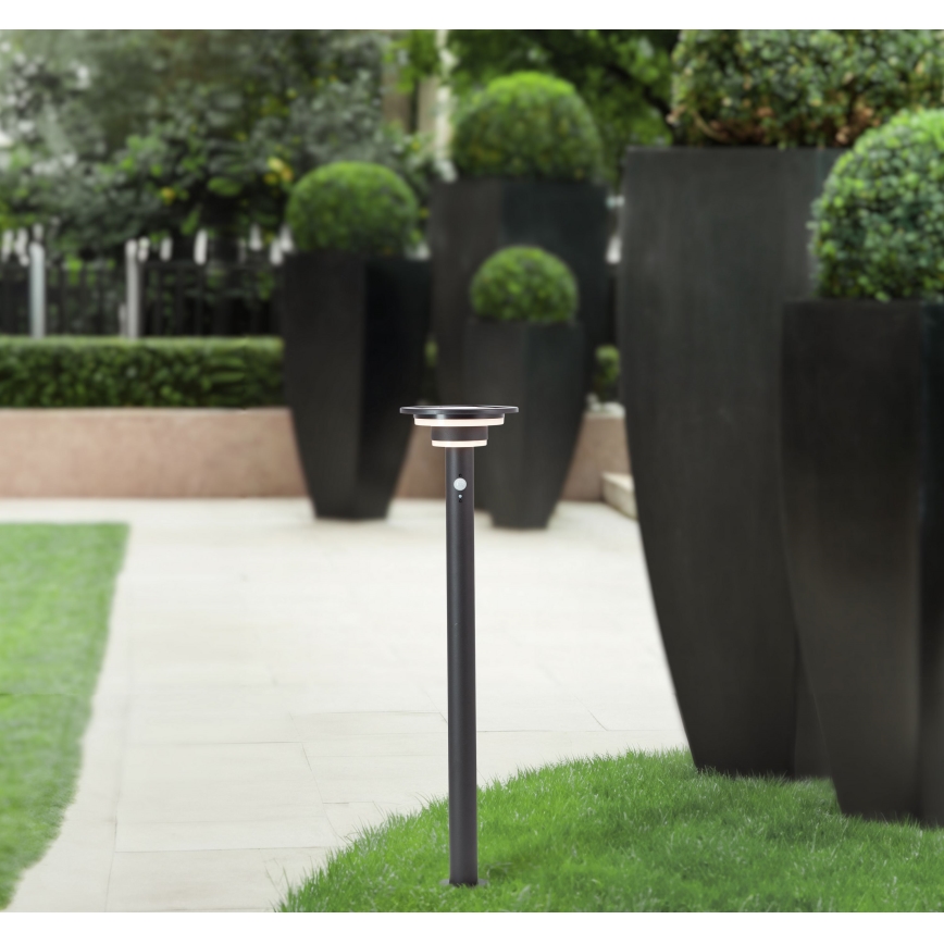 Brilliant - LED Solarna lampa sa senzorom GARVINA LED/3W/3,7V 85 cm IP44 crna