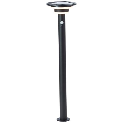 Brilliant - LED Solarna lampa sa senzorom GARVINA LED/3W/3,7V 85 cm IP44 crna
