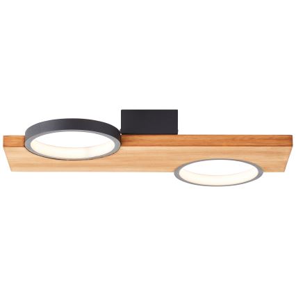 Brilliant - LED Stropna svjetiljka CHEESY LED/14W/230V bor - FSC certificirano