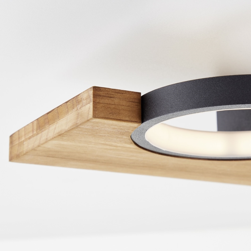 Brilliant - LED Stropna svjetiljka CHEESY LED/14W/230V bor - FSC certificirano