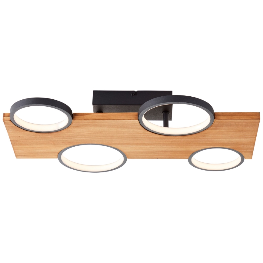 Brilliant - LED Stropna svjetiljka CHEESY LED/28W/230V bor - FSC certificirano