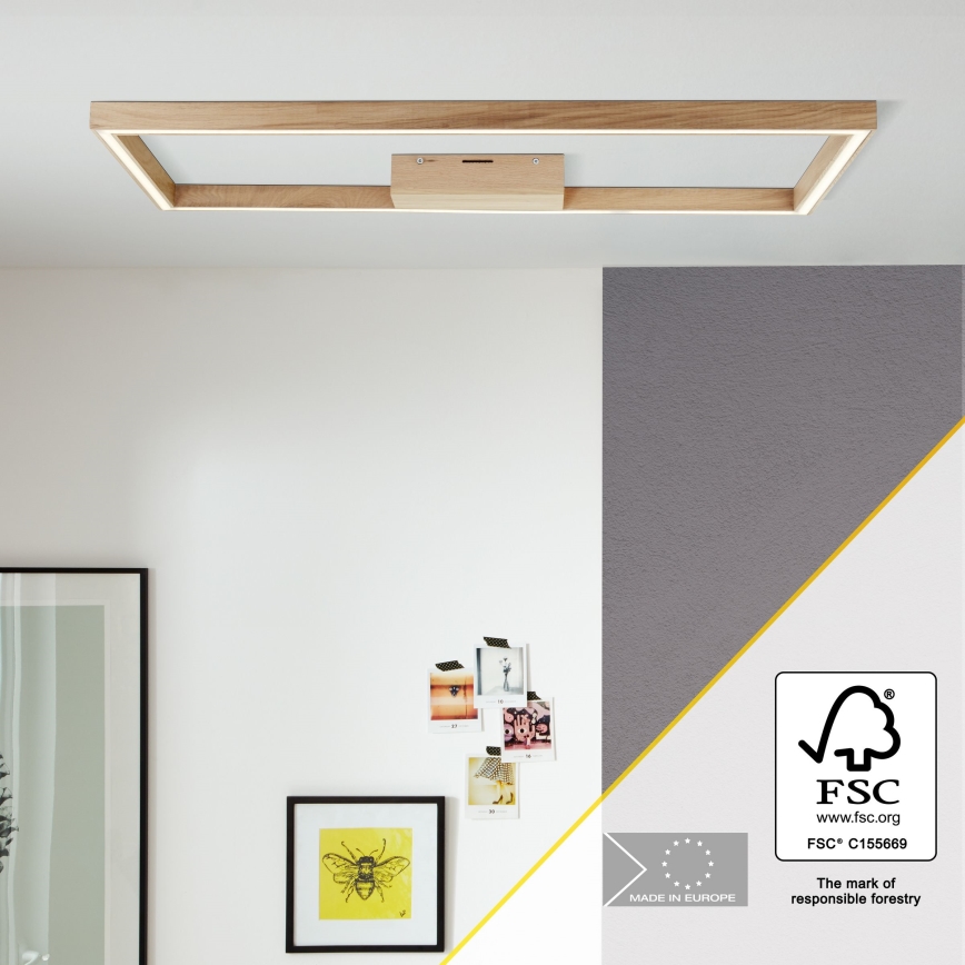 Brilliant - LED Stropna svjetiljka DELGROSSO LED/24W/230V 3000K hrast