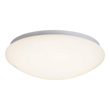 Brilliant - LED Stropna svjetiljka FAKIR LED/11W/230V 3000K pr. 30 cm