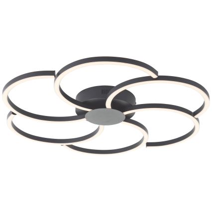 Brilliant - LED Prigušiva stropna svjetiljka FICO LED/32W/230V 3000-6500K pr. 65 cm crna + daljinski upravljač