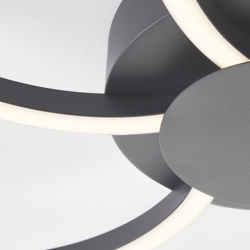 Brilliant - LED Prigušiva stropna svjetiljka FICO LED/32W/230V 3000-6500K pr. 65 cm crna + daljinski upravljač