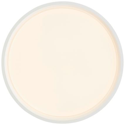Brilliant - LED Stropna svjetiljka KALMAR LED/26W/230V 3000K pr. 39 cm bijela
