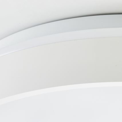 Brilliant - LED Stropna svjetiljka KALMAR LED/26W/230V 3000K pr. 39 cm bijela