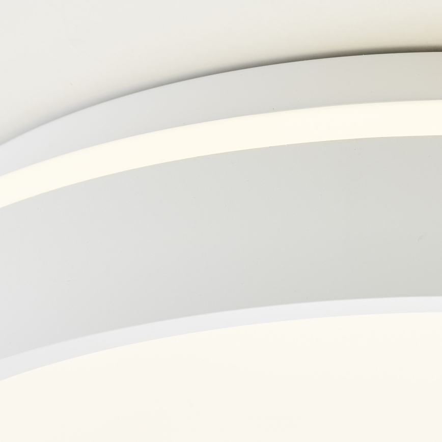 Brilliant - LED Stropna svjetiljka KALMAR LED/26W/230V 3000K pr. 39 cm bijela