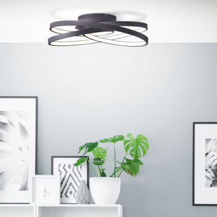 Brilliant - LED Stropna svjetiljka LABYRINTH LED/40W/230V pr. 39,5 cm crna