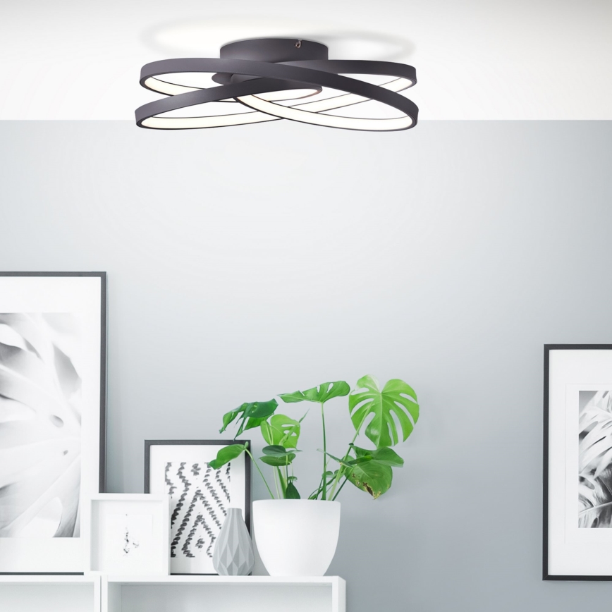 Brilliant - LED Stropna svjetiljka LABYRINTH LED/40W/230V pr. 39,5 cm crna