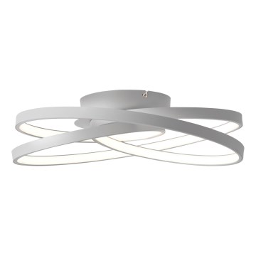 Brilliant - LED Stropna svjetiljka LABYRINTH LED/40W/230V pr. 39,5 cm siva