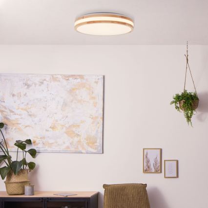 Brilliant - LED stropna svjetiljka LASKOS LED/22W/230V Ø 38 cm fikus