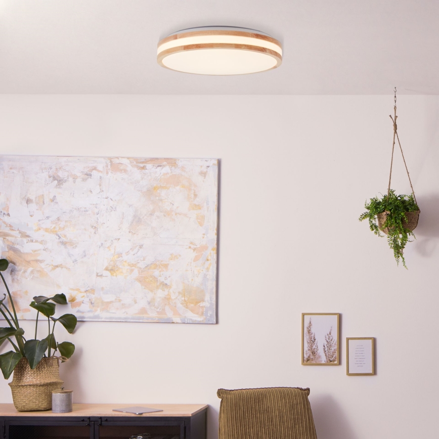 Brilliant - LED stropna svjetiljka LASKOS LED/22W/230V Ø 38 cm fikus