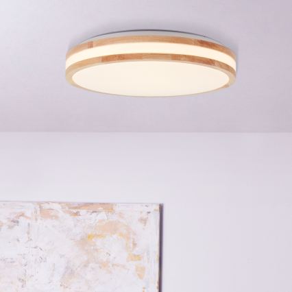 Brilliant - LED stropna svjetiljka LASKOS LED/22W/230V Ø 38 cm fikus