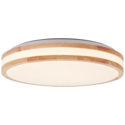 Brilliant - LED stropna svjetiljka LASKOS LED/22W/230V Ø 38 cm fikus