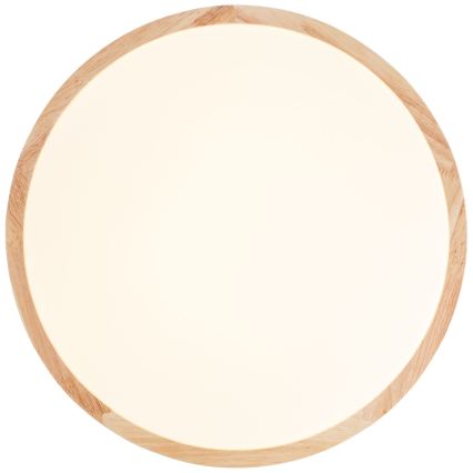 Brilliant - LED stropna svjetiljka LASKOS LED/22W/230V Ø 38 cm fikus