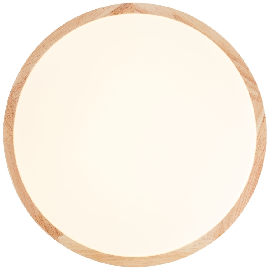 Brilliant - LED stropna svjetiljka LASKOS LED/22W/230V Ø 38 cm fikus