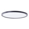 Brilliant - LED stropna svjetiljka MILTON LED/18W/230V Ø 29,3 cm crna